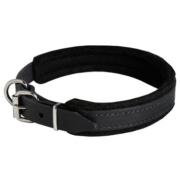 Padded Leather Samoyed Collar Adjustable