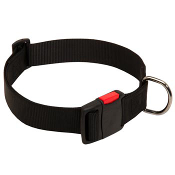 Nylon Samoyed Collar for Training and Waling