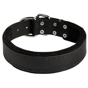 Adjustable Samoyed Collar