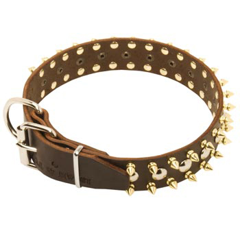 Leather Samoyed Collar with Rust-proof Decoration