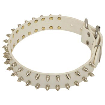 Spiked White Leather Collar for Samoyed Walking