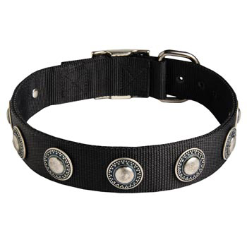 Samoyed Dog Nylon Collar Awesome Design
