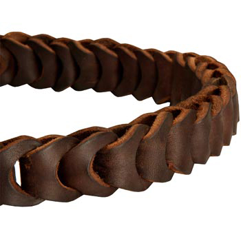 Samoyed Leather Choke Collar Braided 