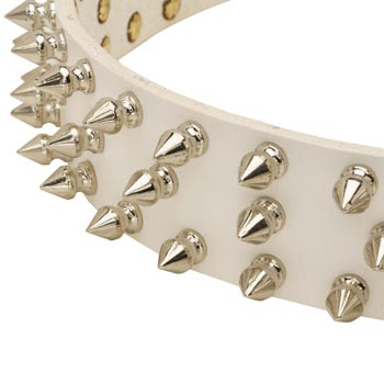 Spiked White Leather Collar for Samoyed Walking