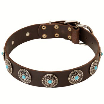 Leather Samoyed Collar