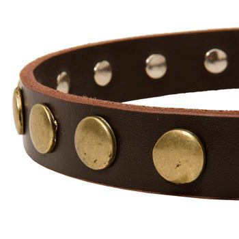 Designer Leather Dog Collar for Walking Samoyed
