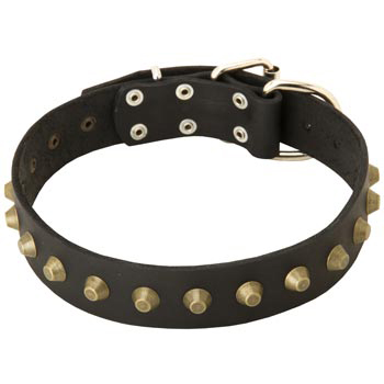 Leather Samoyed Collar