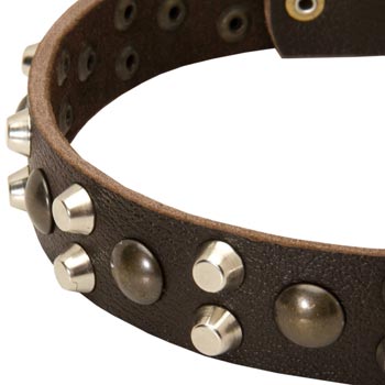 Leather Samoyed Collar with Hand Set Studs