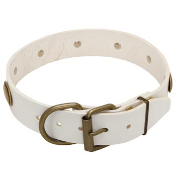 White Leather Dog Collar for Samoyed Stylish Walks