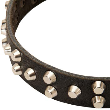 Leather Samoyed Collar Durable Stud Decorated