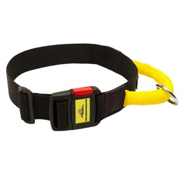 Nylon Samoyed Collar with Quick Release Buckle