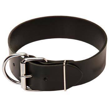 Samoyed Leather Collar of Extra Width