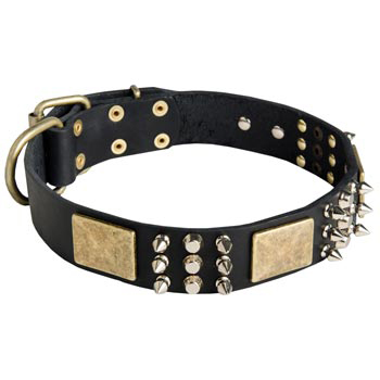 Stylish Wide Leather Dog Collar for Samoyed Walking
