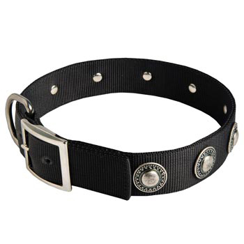 Samoyed Dog Nylon Collar Steel Nickel Plated Conchos