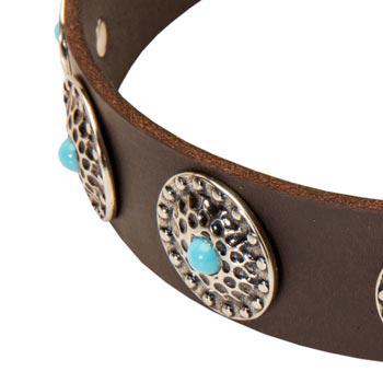 Blue-Stones Leather Samoyed Collar