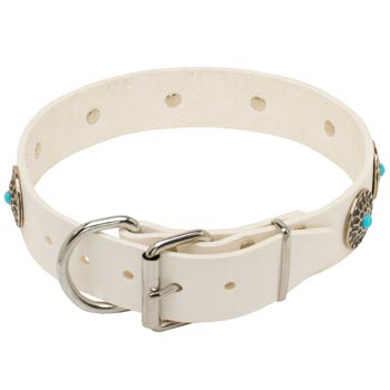 Leather   Samoyed Collar White Fancy for Dog Training, Walking