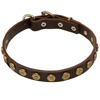 1 inch Wide Leather Samoyed Collar