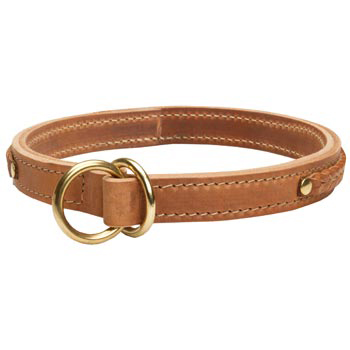  2 Ply Leather Choke Collar for Samoyed