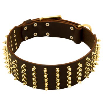Fashionable Spiked Leather Samoyed Collar