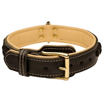 Samoyed Decorated  Leather Dog Collar