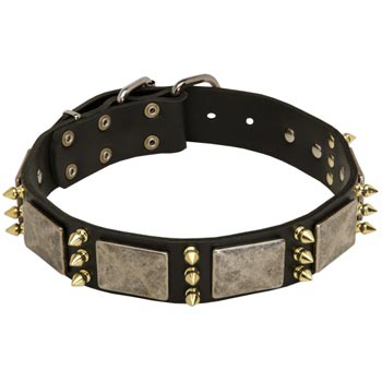 Vintage Leather Collar for Samoyed