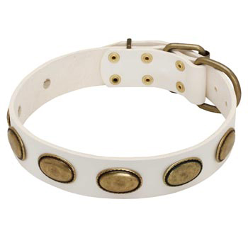 White Leather Samoyed Collar with Vintage Oval Plates