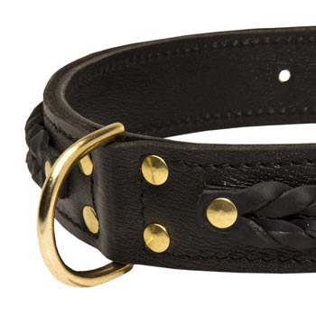 Samoyed Wide Leather Collar with D-ring