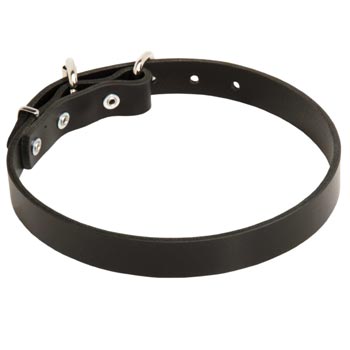 Leather Dog Collar for Samoyed Training