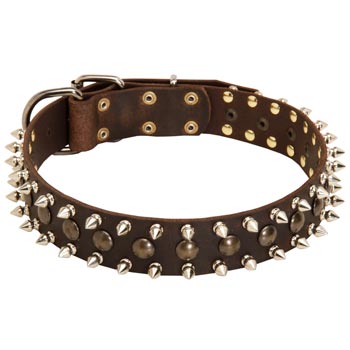 Samoyed Leather Collar with Stylish Decoration
