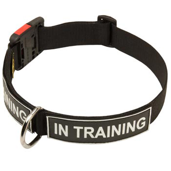 Nylon Samoyed Collar With ID Patches