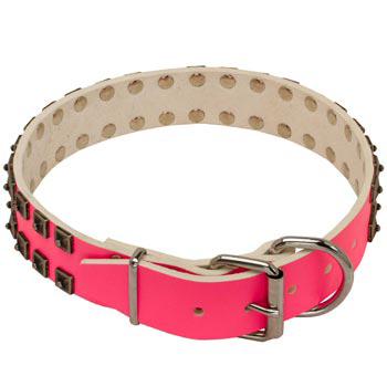 Samoyed Pink Leather Collar for Walking She-Dogs