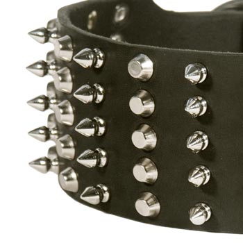  Leather Wide Dog Collar for Samoyed