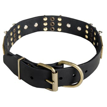 Studded Leather Samoyed Collar for Walking