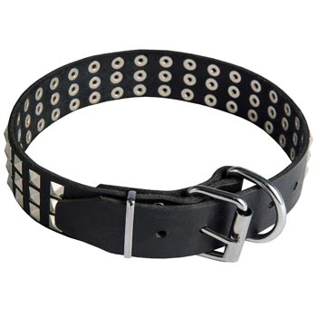 Leather Collar with Pyramids for Samoyed