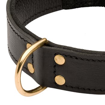 Brass D-ring Stitched to Leather Samoyed Collar