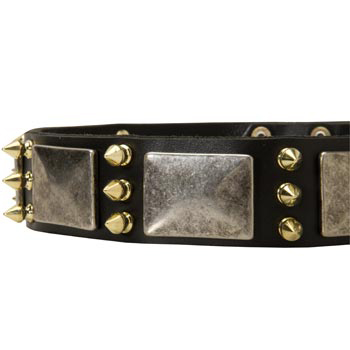 Stylish Leather Dog Collar for Samoyed