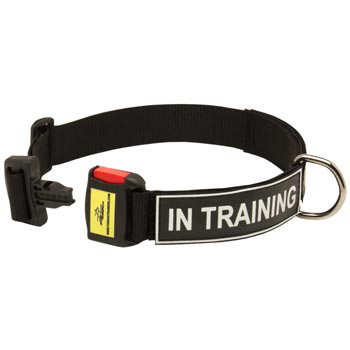 Nylon Dog Collar for Samoyed Police Training