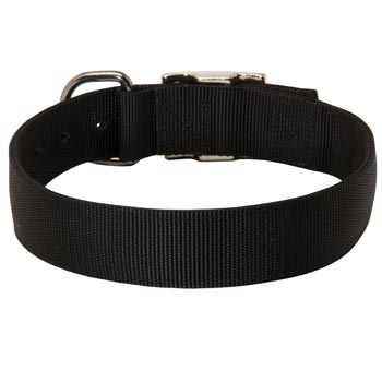 Nylon Collar for Samoyed Comfy Training