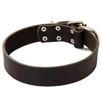 Unbelievable Samoyed Strict Style Leather Dog  Collar