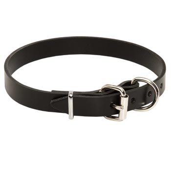 Samoyed Leather Dog Collar For Everyday Training