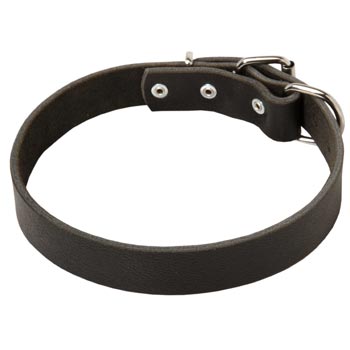 Leather Dog Collar Simple  Design for Samoyed