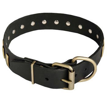 Unique Design Leather Dog Collar with Adjustable Buckle for   Samoyed