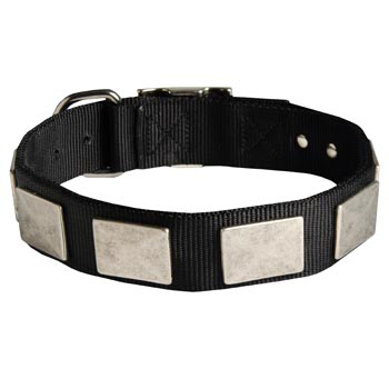   Samoyed Collar Nickel Vintage with Plates