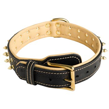 Leather Dog Collar Spiked Adjustable for Samoyed Walking