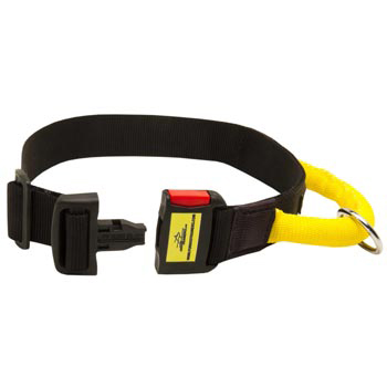 Nylon Samoyed Collar with Quick Release Buckle