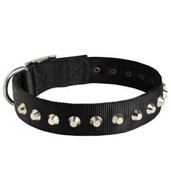 Walking Nylon   Samoyed Collar Nickel Studded Waterproof