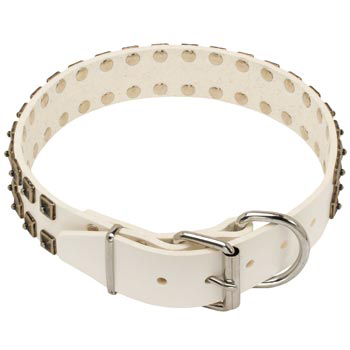 White Leather Dog Buckle Collar for Samoyed