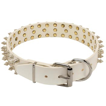 Spiked Leather Samoyed Collar