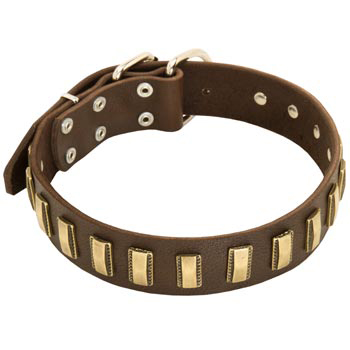 Leather Dog Collar with Adornment for Samoyed