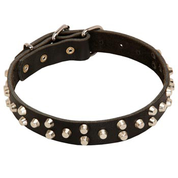 Wide Leather Dog Collar for Samoyed Walking